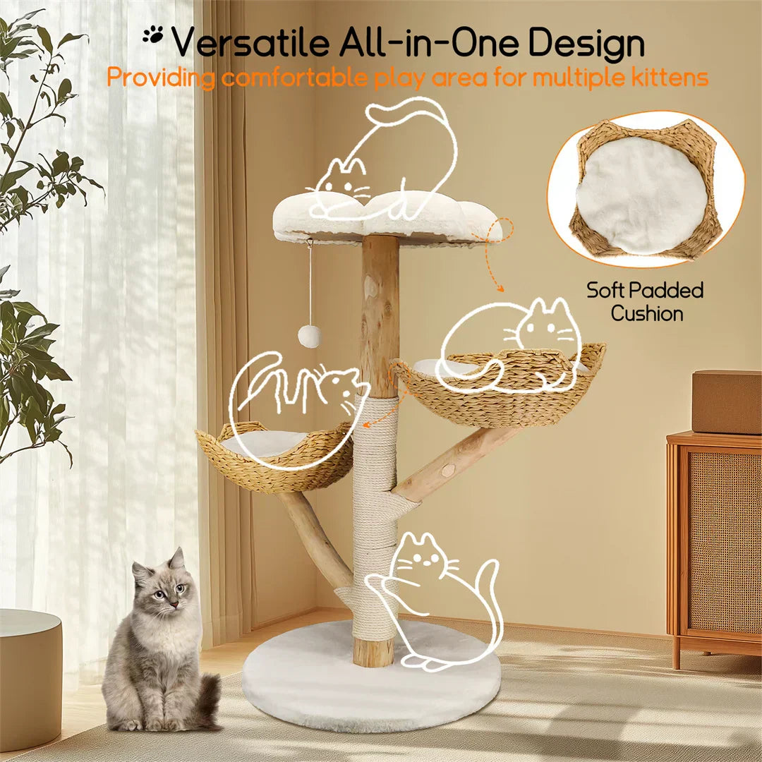tabby cat sitting on a multi-level cat tree by a sunny window