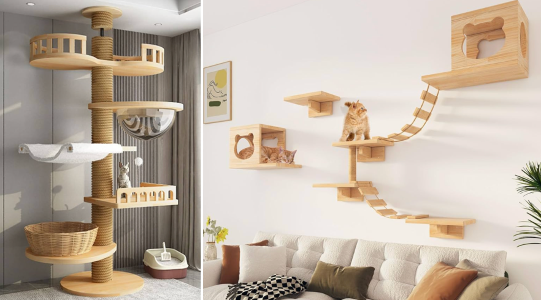 Cat Tree vs Cat Shelf: Which One Does Your Cat Actually Need?