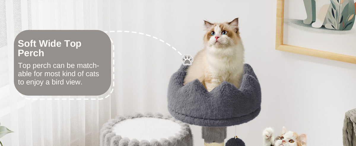 Small Cat Tree 53cm - Scratching Post, Cave & Perch Tower